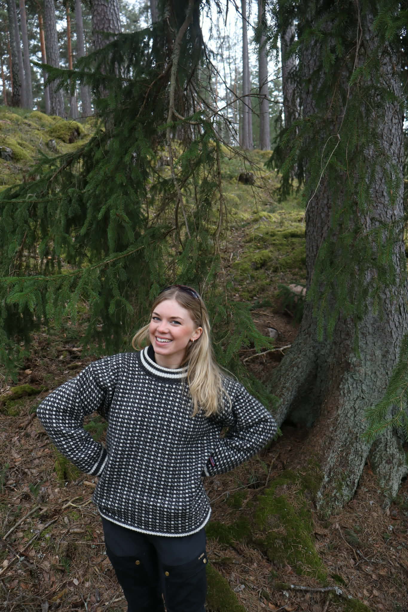 Daladrömmar — naturupplevelse i Dalarna