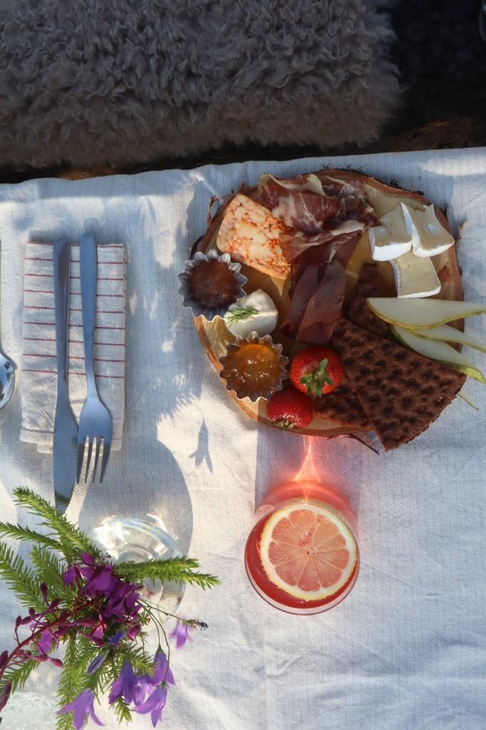 Lunch table in nature — Wild lunch Dalarna